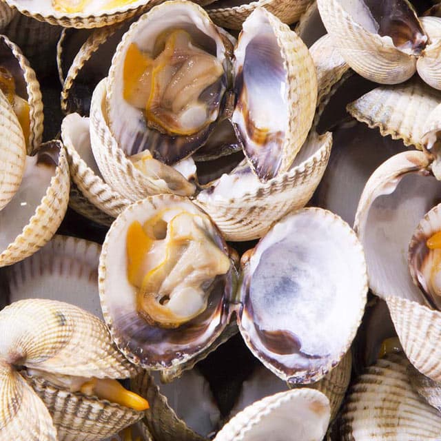 Venta de berberechos de la Ría de Arousa