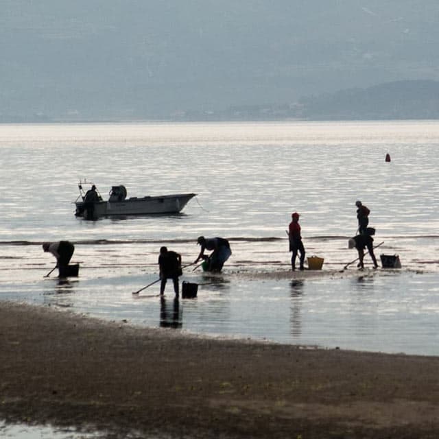 A Illa de Arousa