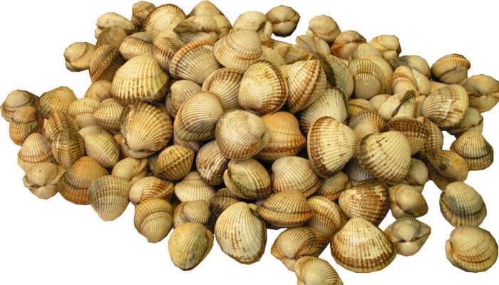 Berberechos