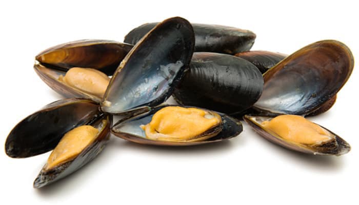 Mejillones